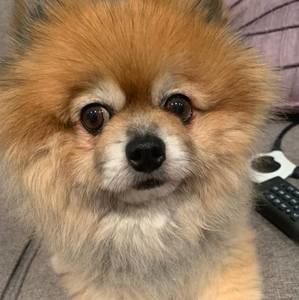 Meet your Posher, Kristin